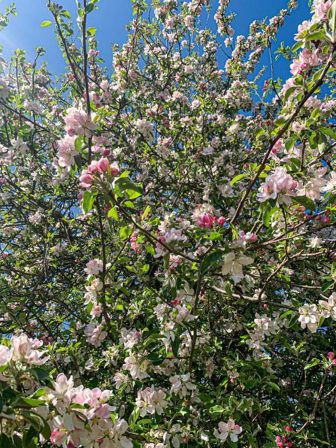 Holiday Home Les Plachettes Flobecq Ngoại thất bức ảnh