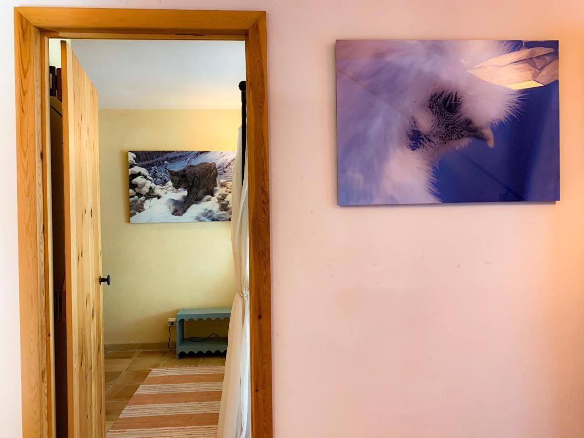 Holiday Home Les Plachettes Flobecq Ngoại thất bức ảnh
